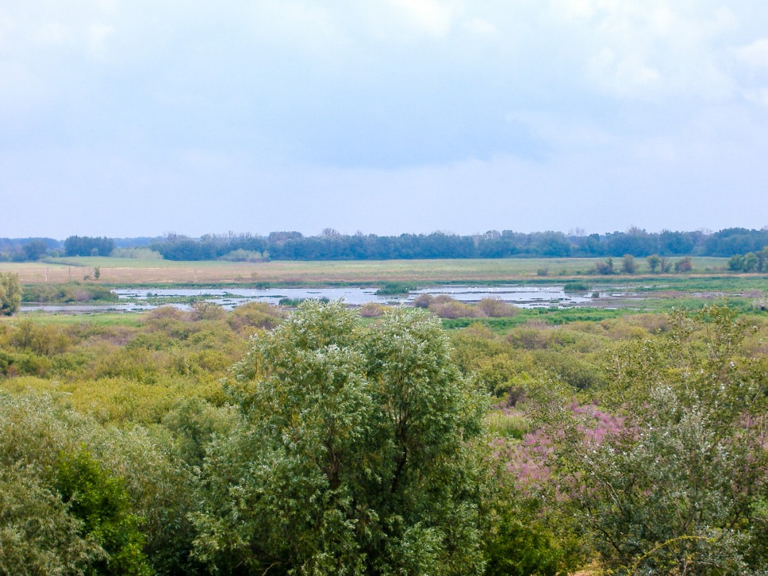 Elindítja a szabadtéri szakvezetéses túrák nagy részét a Kiskunsági Nemzeti Park