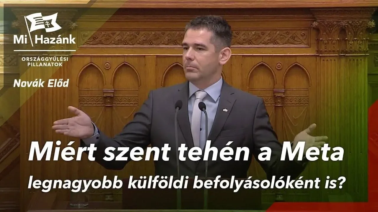 A Meta külföldi befolyásolása elleni fellépésre szólította fel a kormányt a Mi Hazánk