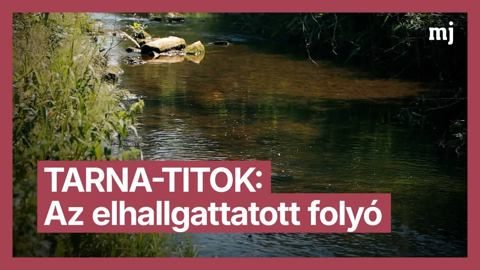 A Tarna titka: miért akarta elhallgattatni a hatalom egy magyar folyó történetét?