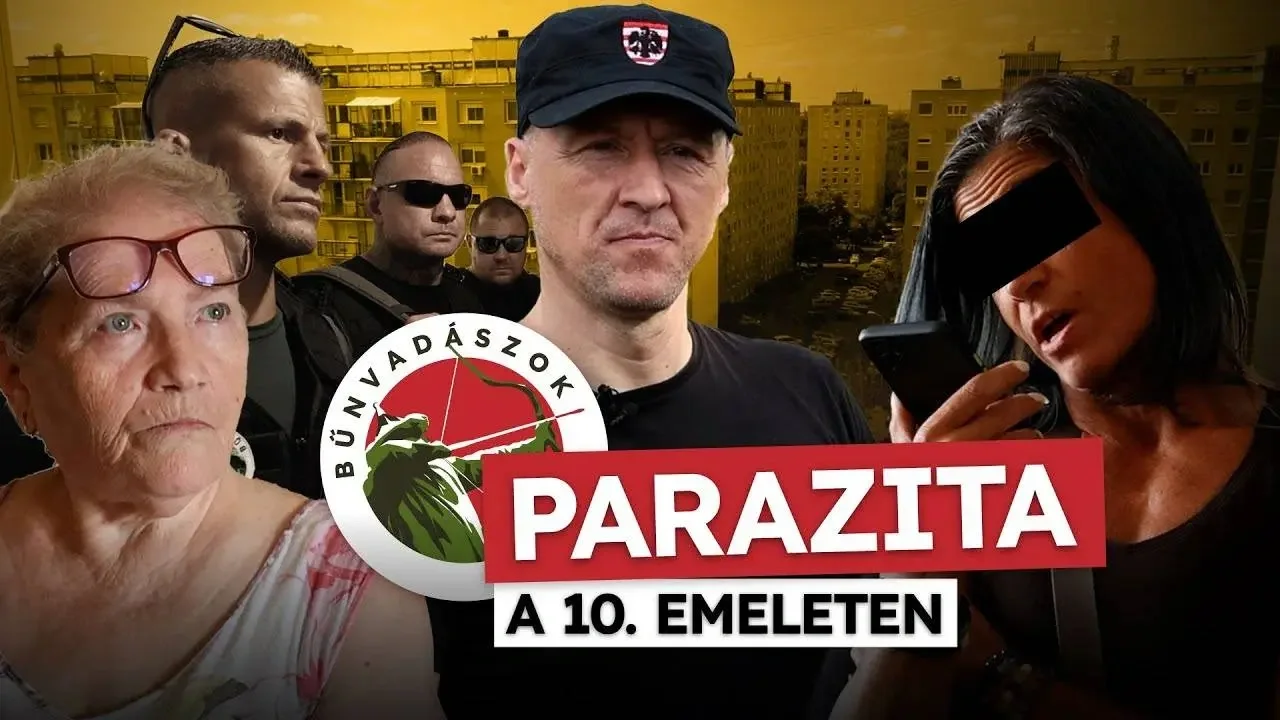 A Bűnvadászok nem tűrték tovább a nyugdíjas néni kihasználását