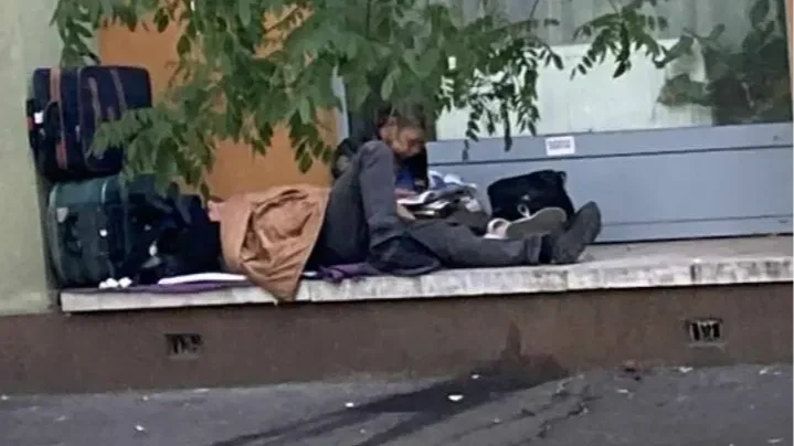 Mocsok és kosz uralja Újbudát – állatvédők igyekeznek rendet tenni