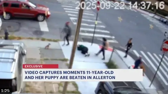 11 éves kislányt vertek össze brutálisan Amerikában (+VIDEÓ)