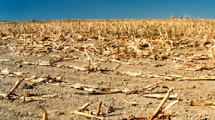 Ide jutottunk: Romániától vásárol vizet Magyarország