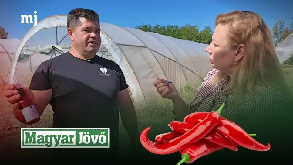 Magyar Jövő: Fóliasátrakból a csúcsgasztronómiába (+VIDEÓ)