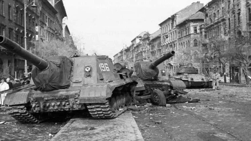 Forrás: toriland.hu