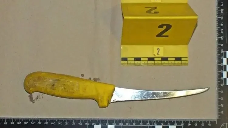 Az egyik lefoglalt kés