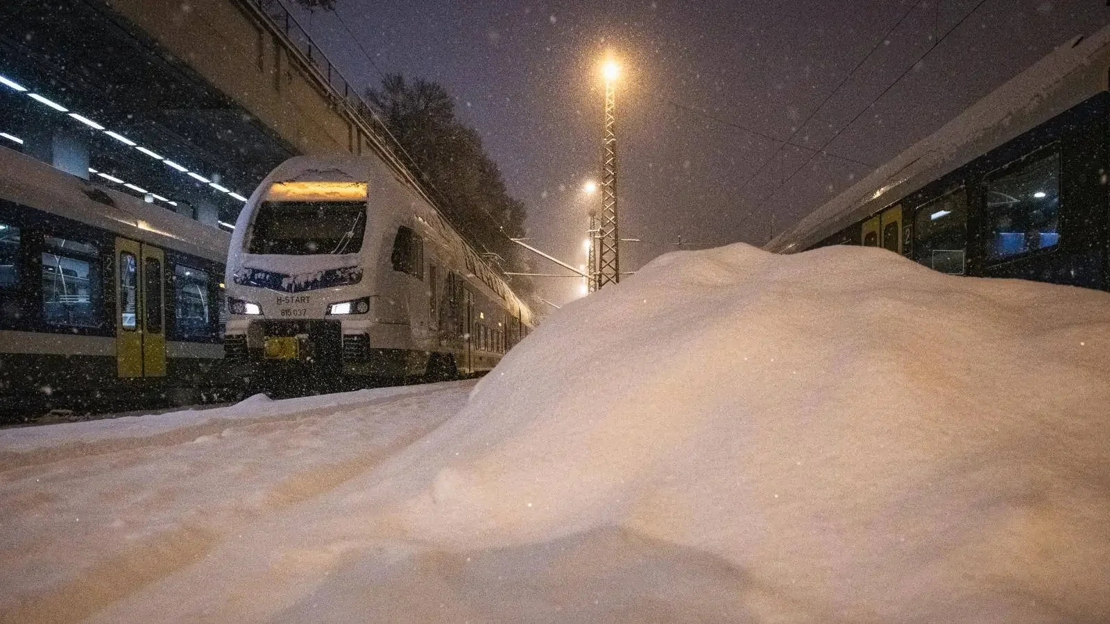 Fotó:  Farbaky Tamás/Népszava