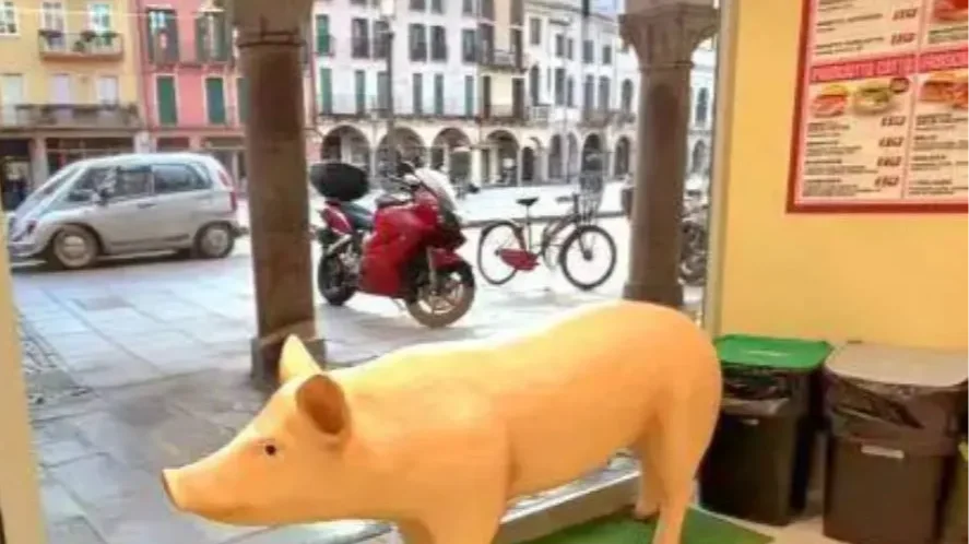 Kép forrása: ilgiornale.it