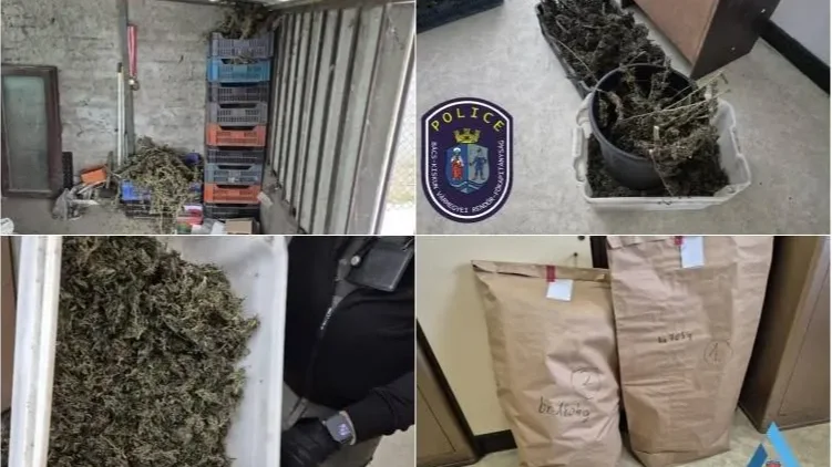 Képmontázs forrása: police.hu