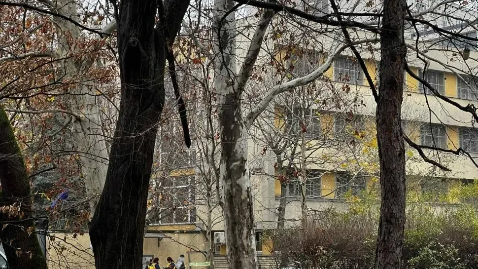 Kép forrása: szmo.hu