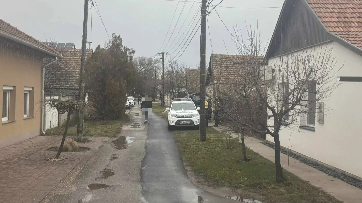 Kép forrása: cs3.hu