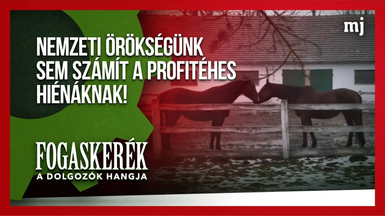 A Magyar Jelen videójának indexképe | Kép forrása: Magyar Jelen YouTube-csatornája