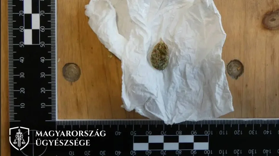 Kép forrása: Pest Vármegyei Főügyészség