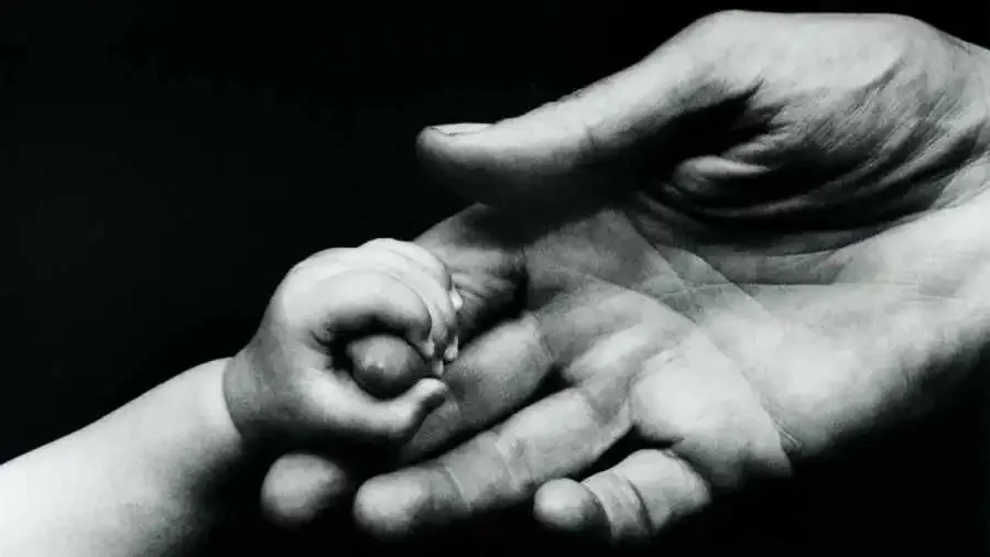 Kép forrása: Anya-Ország Alapítvány