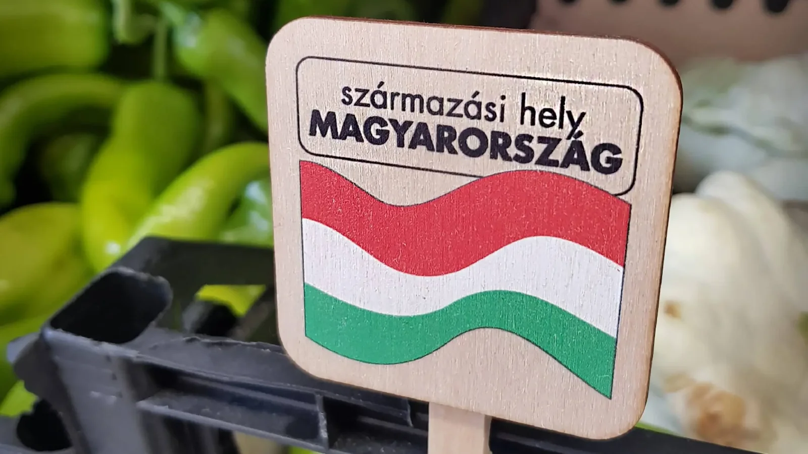 Kép forrása: imagodeko