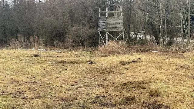 Kép forrása: saját