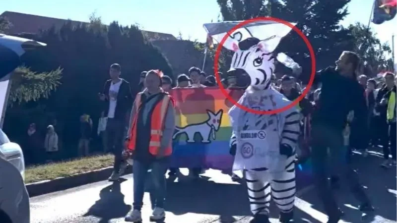 Kép forrása: hódpress.hu