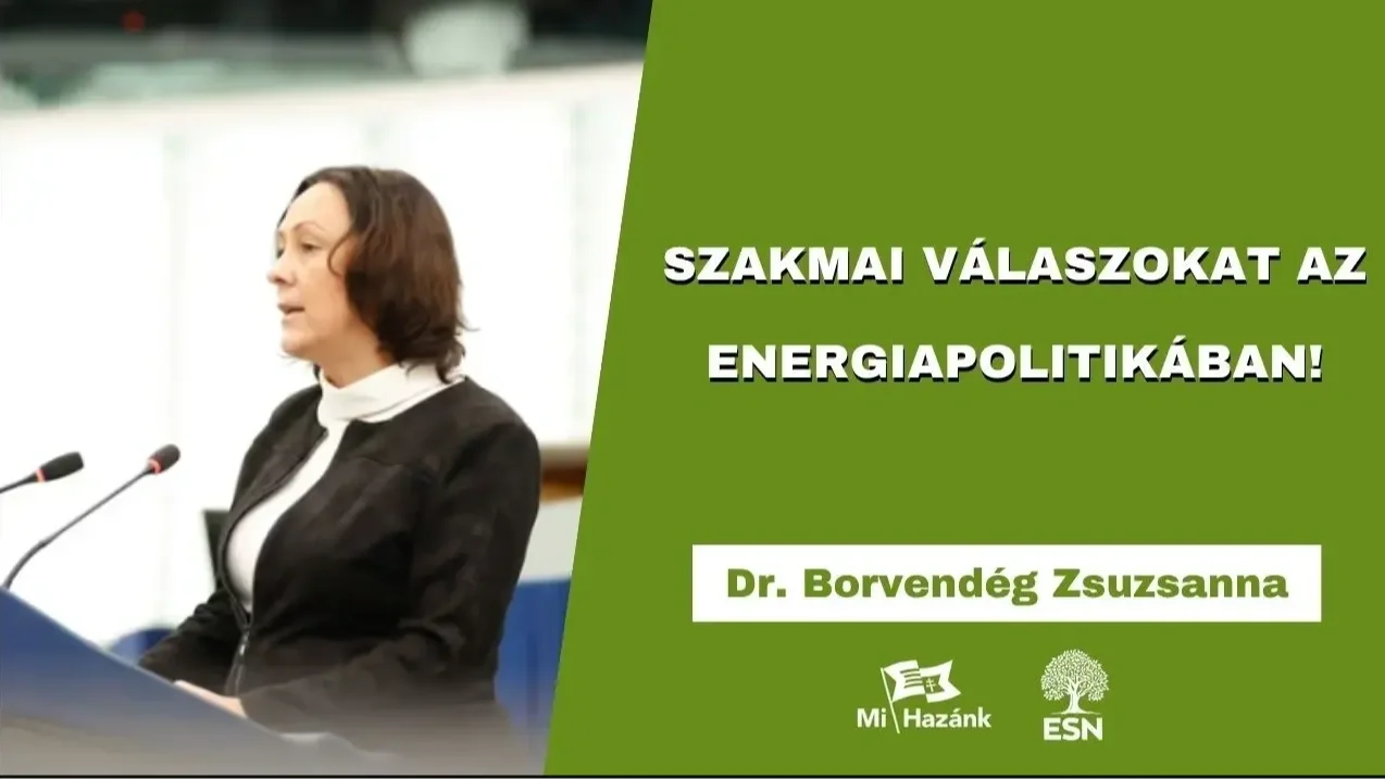 Kép forrása: dr. Borvendég Zsuzsanna YouTube-csatornája