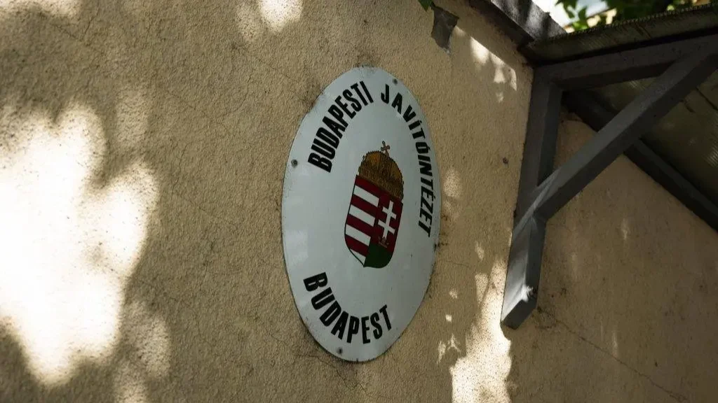 Kép forrása: Szajki Bálint/24.hu