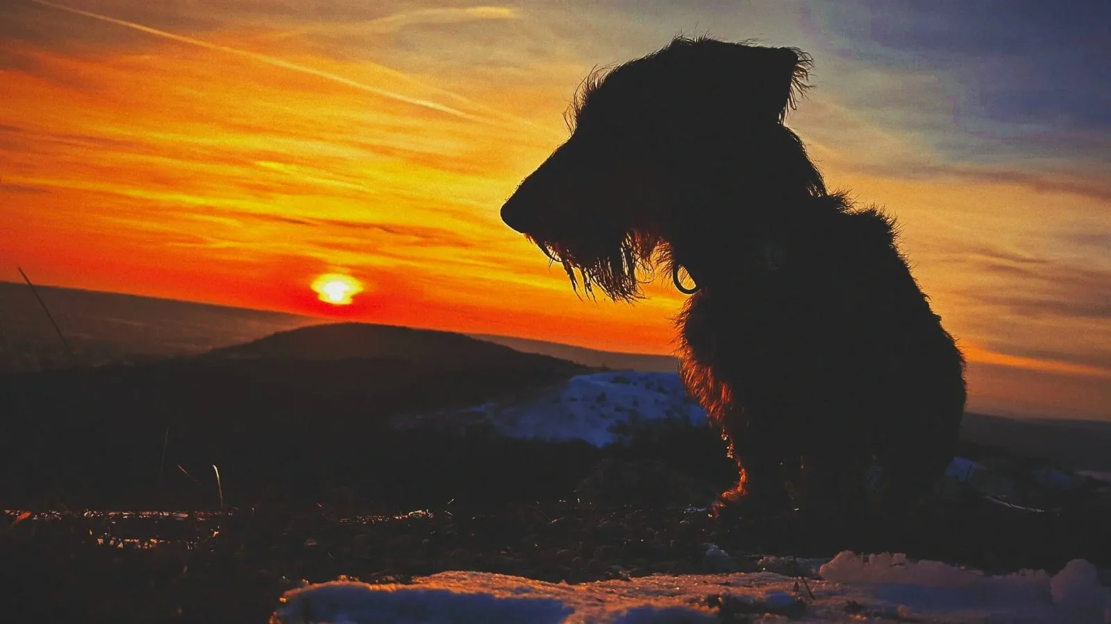 Illusztráció I Fotó: Lipták Tamás