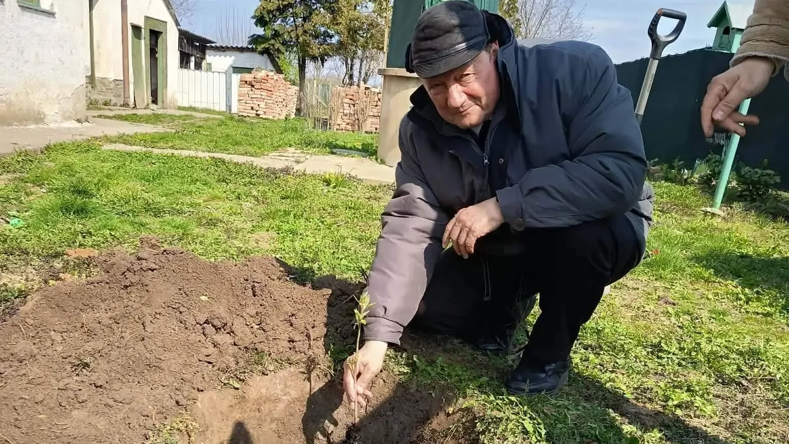 Kép forrása: Vasvári Erika