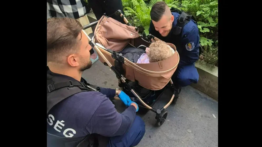 Kép forrása: Szurkolók az Állatokért Alapítvány Facebook-oldala