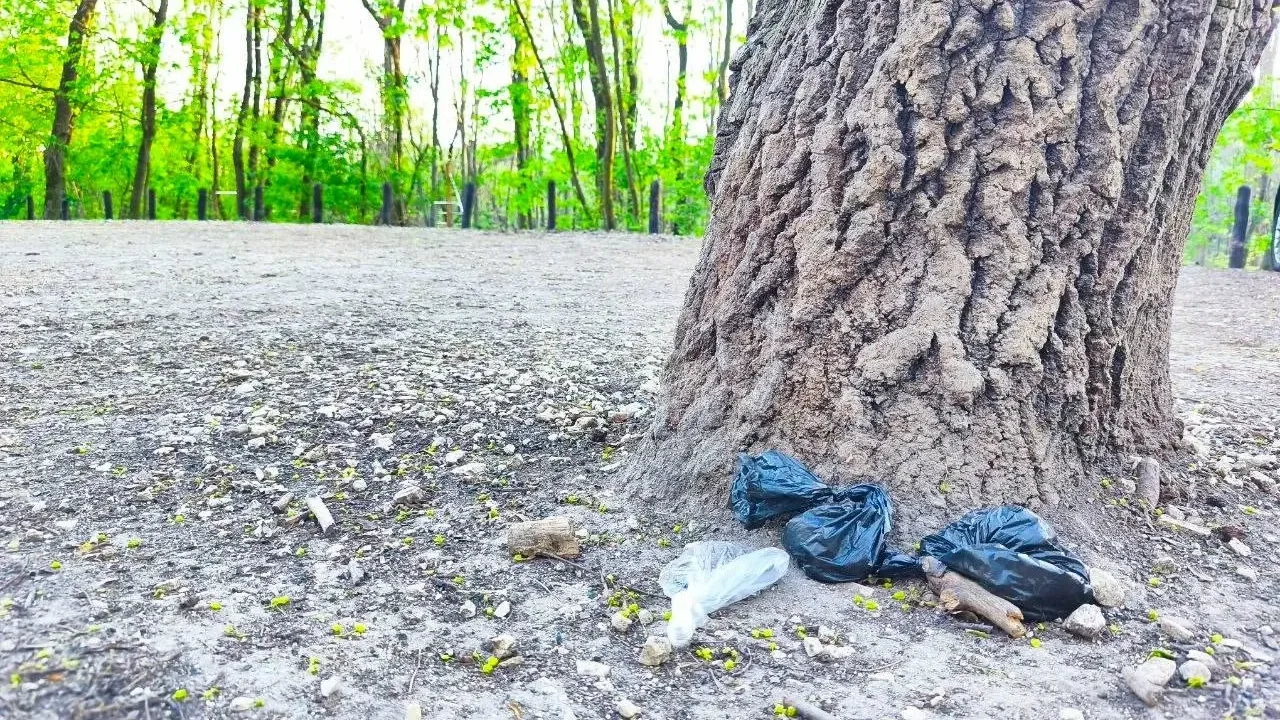 Műanyagba zárt kutyakaki | Kép forrása: Lipták Tamás